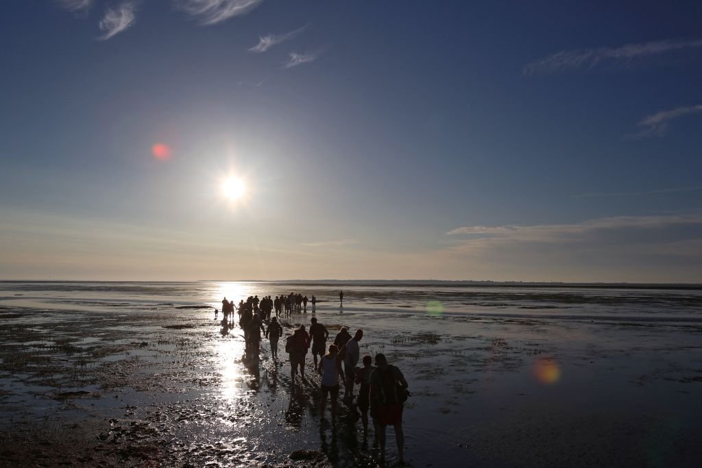 A group of Wadden Sea walkers makes its way across the Wadden Sea from Hallig Langeness to Dagebuell, northern Germany, on July 22, 2013. (Christian Charisius/DPA/AFP via Getty Images)
