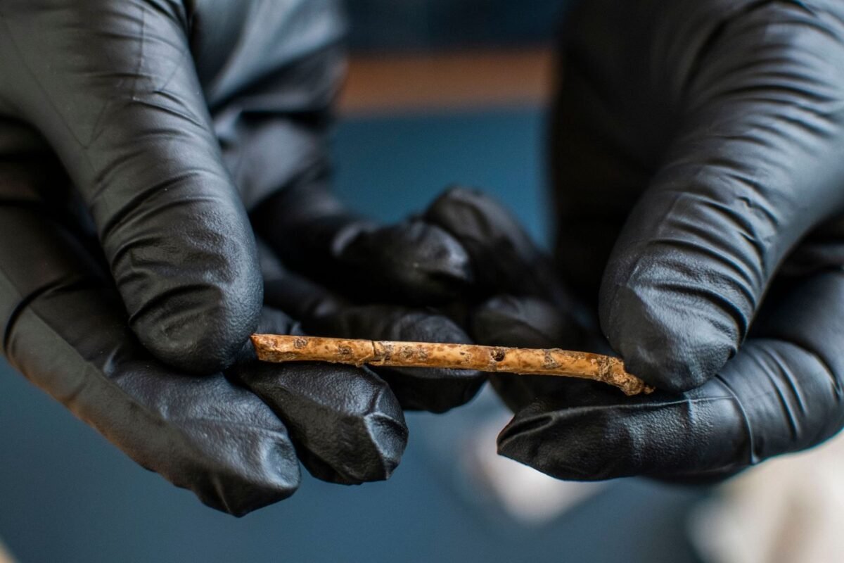 12,000-Year-Old Tiny Bone Flutes Found in Israel That Imitate Predatory Birds