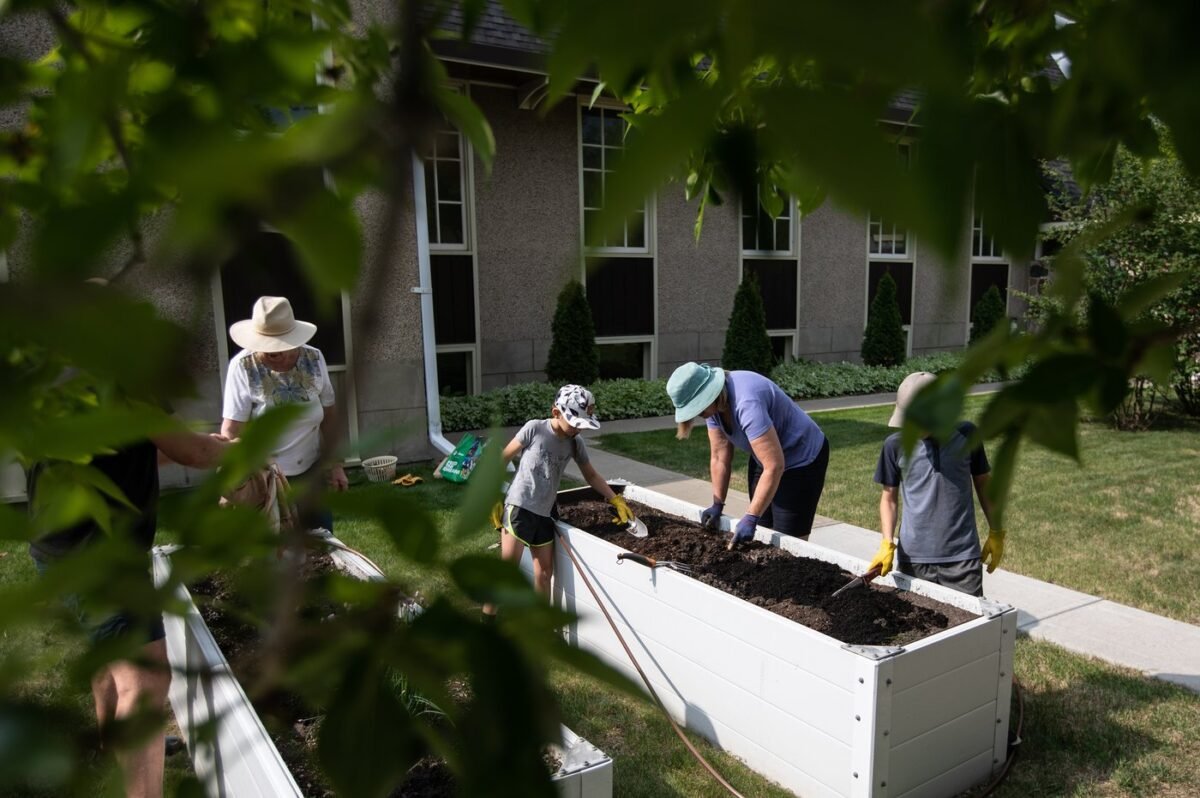 Volunteers help plant a community garden for the city's food bank, at St. David's Anglican Church in Edmonton on May 27, 2023. (The Canadian Press/Jason Franson)