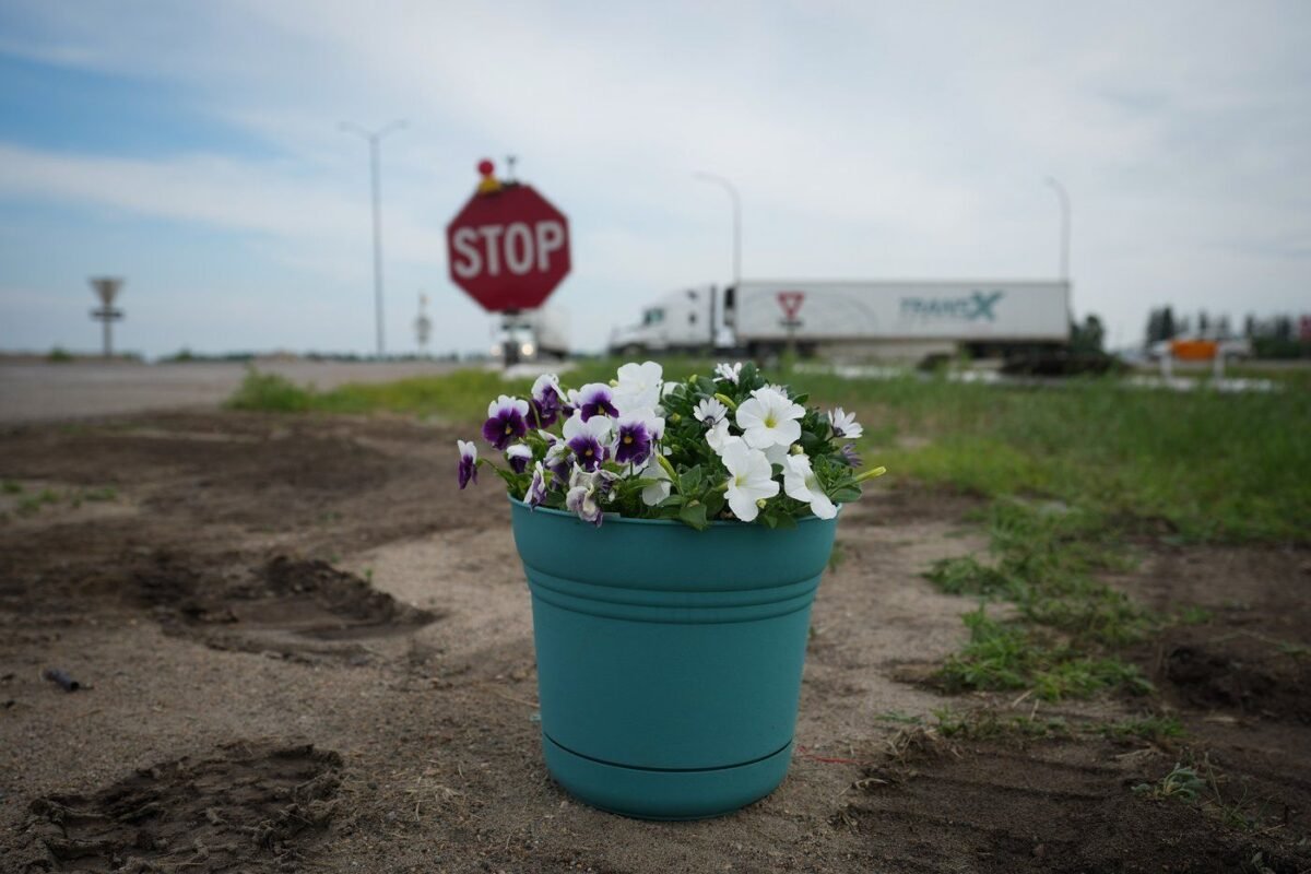 Flowers are seen on the side of the road where the Trans-Canada Highway intersects with Highway 5, west of Winnipeg near Carberry, Man., June 16, 2023. (Darryl Dyck/The Canadian Press)