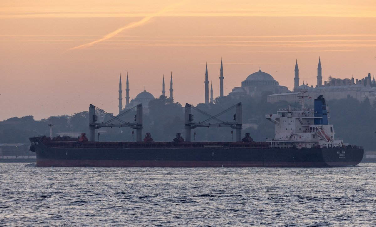 Asl Tia, a cargo vessel carrying Ukrainian grain, transits Bosphorus, in Istanbul on Nov. 2, 2022. (Umit Bektas/Reuters)