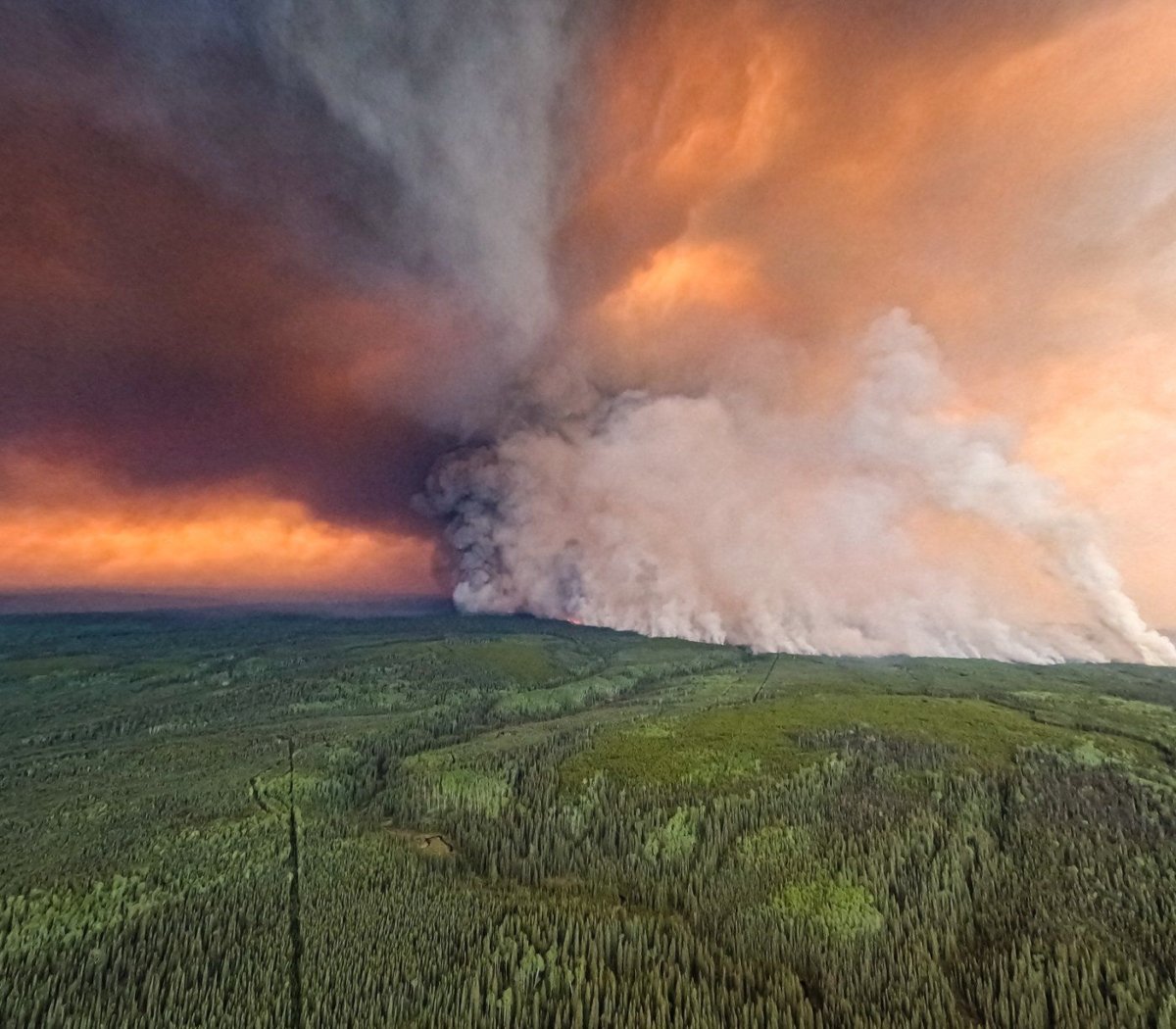 BC Announces Total Campfire Ban Amid Drastic Wildfire Surge