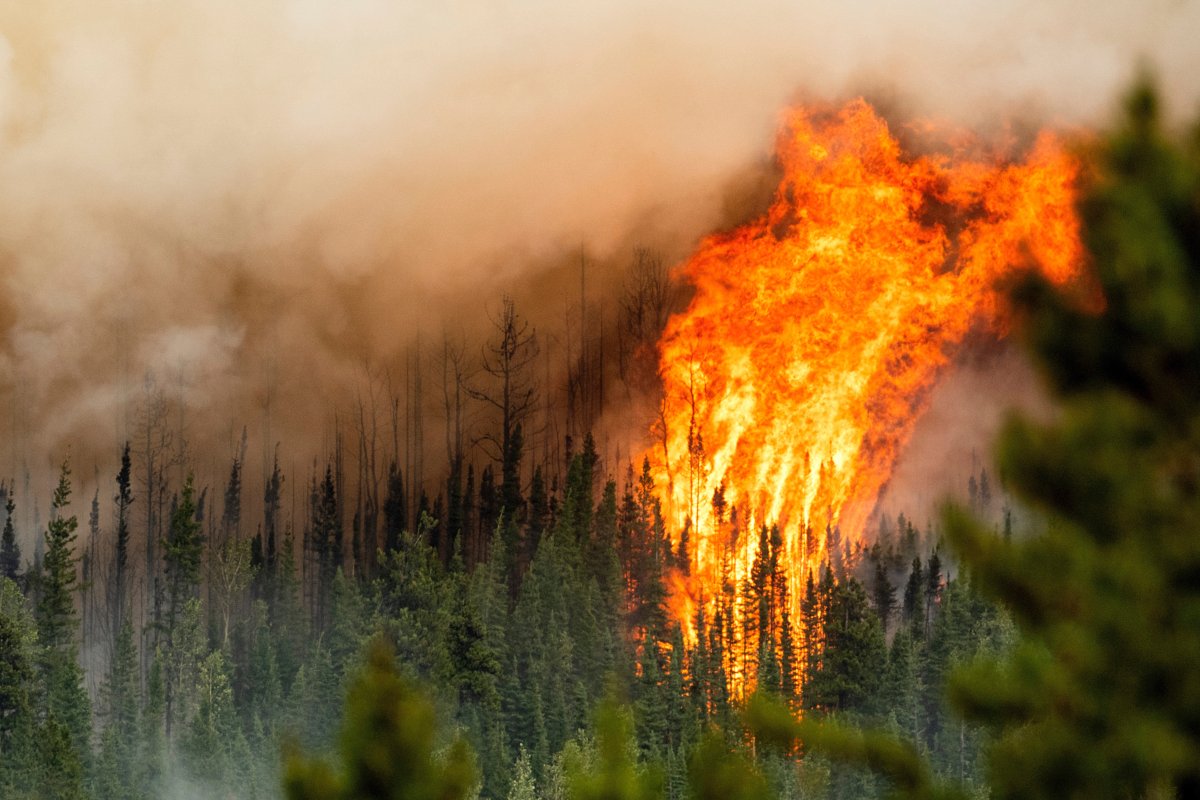 Flames from the Donnie Creek wildfire burn along a ridge top north of Fort St. John, British Columbia, July 2, 2023. (THE CANADIAN PRESS/AP-Noah Berger)