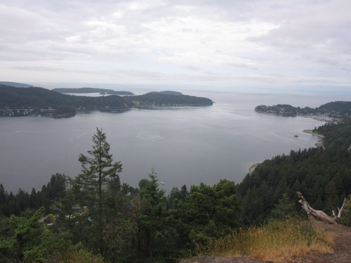 A file photo of Howe Sound from the top of Soames Hill on British Columbia's Sunshine Coast, near the town of Grantham's Landing, B.C., on May 23, 2016.  (The Canadian Press/Lauren Krugel)