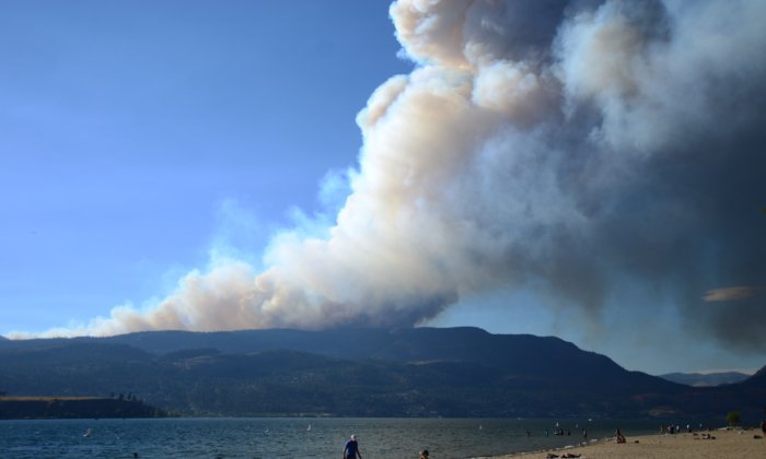 More than 350 Wildfires Continue Burning in BC, Displacing Residents, Destroying Homes