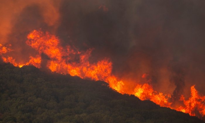 Greek Authorities Arrest 2 for Arson While Firefighters Battle Wildfires Across the Country