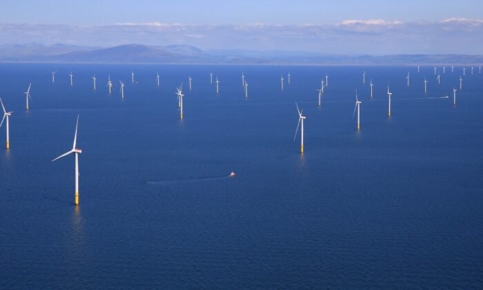 South Australia Opposes Offshore Windfarm Zone for Environmental Reasons