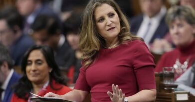 ANALYSIS: Questions Remain About Foreign Investment in Canada Despite Freeland’s Praise