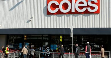 Coles Workers, Activists Picket Supermarket's Annual Meeting