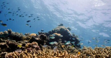Australia Commits $200 Million to Enhance Water Quality in the Great Barrier Reef