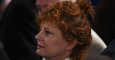 Hollywood Actress Susan Sarandon Dropped by Talent Agency After Remarks on Israel-Hamas Conflict