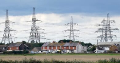 Households Near New Pylons to Get up to £1,000 Off Bills for 10 Years