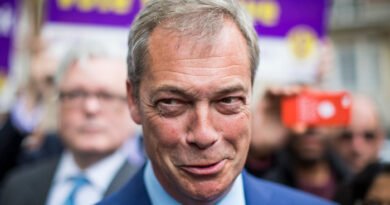 Nigel Farage Wants to Prove He's Not 'Mean' and 'Small-Minded' on Reality TV