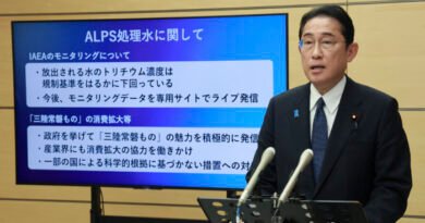 Japan PM Unveils $113 Billion Economic Package to Ease Inflation Pain