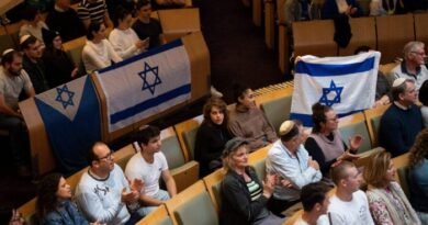 Mayor Disappointed in Theft of Israeli Flag From Council Chambers