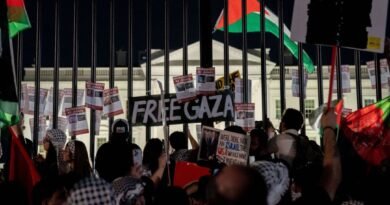 Pro-Palestinian Demonstrators Vandalise White House Gate, Shake Fences