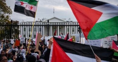 Pro-Palestinian Protesters Outside White House Demand Ceasefire in Gaza