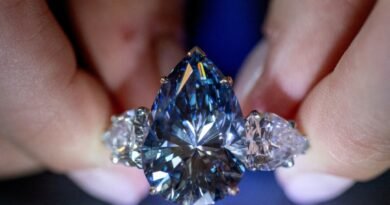 Vivid Blue Diamond Sells for Nearly $44 Million at Christie's Auction