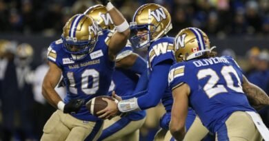 Winnipeg Blue Bombers Beat BC Lions to Secure Grey Cup Berth