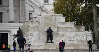 Met Police: Pro-Palestinian Protesters Climbing on War Memorial Wasn't Illegal