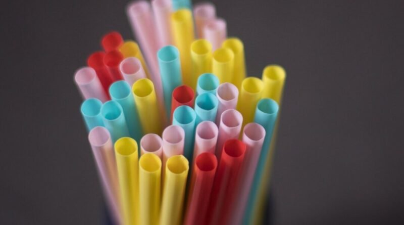 Federal Court Quashes Cabinet Order Underlying Single-Use Plastics Ban