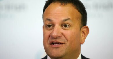 Irish Prime Minister Blasted for Pushing 'Hate Speech' Law Following Dublin Riot