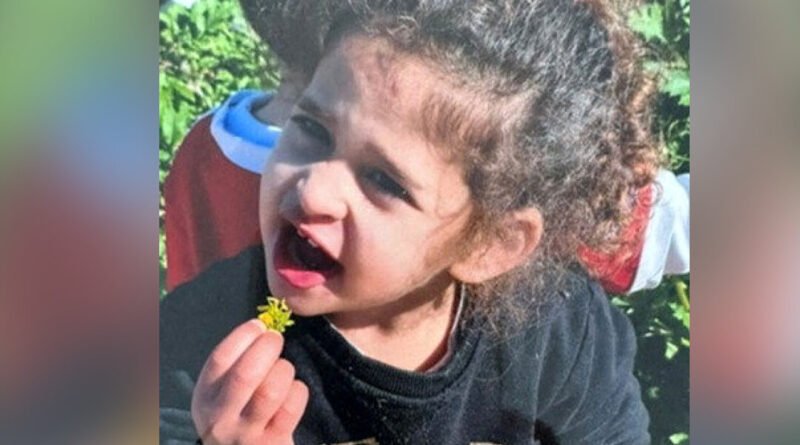 4-Year-Old American Hostage Released by Hamas, Biden Announces