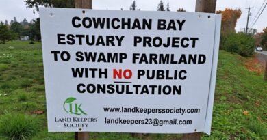 Plan to Flood 100-Acre Vancouver Island Farm for Estuary Expansion Project Raises Concerns