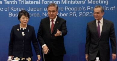 ANALYSIS: China, Japan, South Korea Confront Regional Strains at Summit