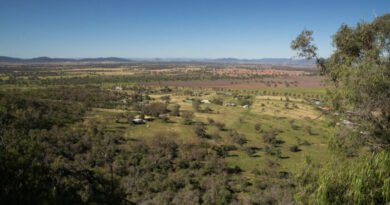 Rural Australians 'Crying Out' as Health Gaps Revealed