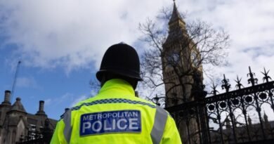 Half of Police Forces Given Low Grades in Investigating Crime by Watchdog