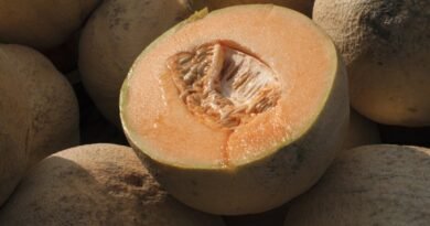 Death Toll Rises to Five in Cantaloupe Salmonella Outbreak, as Cases Almost Double