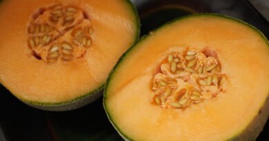 Six Deaths Now Reported in Cantaloupe Salmonella Outbreak