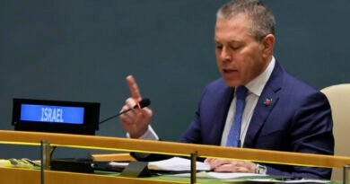 UN General Assembly Passes Ceasefire Resolution, Israeli Ambassador Says It 'Does Not Mention Hamas'