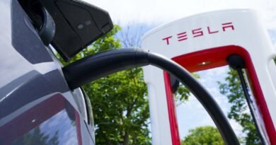 Transport Canada Says Tesla Recall Will Affect Roughly 193,000 Cars in Canada