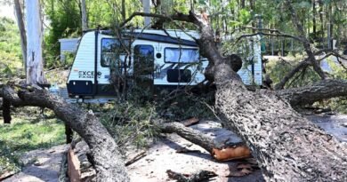 Woman Killed by Falling Tree as Storms Lash Queensland