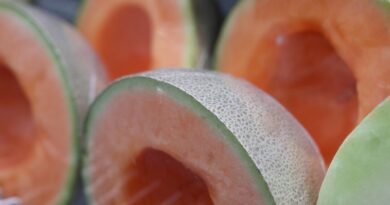 Montreal Man Seeks to Launch Class Action Over Cantaloupe Salmonella Outbreak