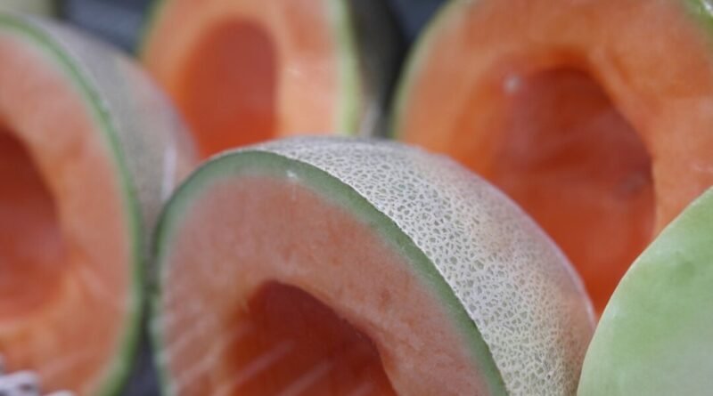 Montreal Man Seeks to Launch Class Action Over Cantaloupe Salmonella Outbreak
