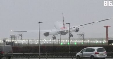Terrifying Moments: Plane Struggles to Land at London's Heathrow During Fierce Storm