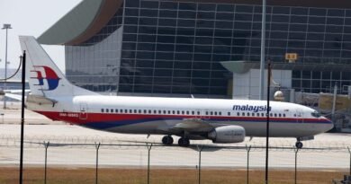 Government 'Concealed' True Location of Missing MH370 Plane: Veteran Pilot
