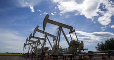 US States More Attractive for Oil Investment Than Canada: Survey