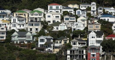 NZ Government to Axe Top-Down Mandate on Housing