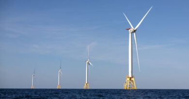 Victorian Leader to Appeal Federal Labor Decision to Axe Offshore Wind Farm Project