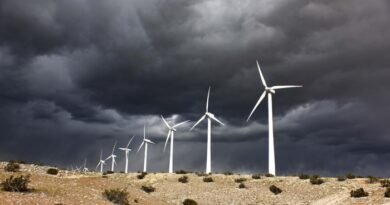 Climate Change Minister Defends 2030 Emissions Target After Wind Energy Hub Blocked