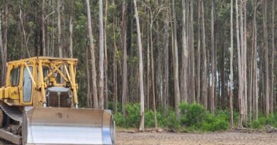Alcoa Mine Clearing to Supply Scarce Western Australia’s Hardwood Timber