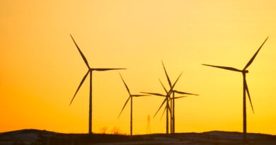 Community Sues to Limit Operation of 100-Turbine Wind Farm on Environmental Grounds