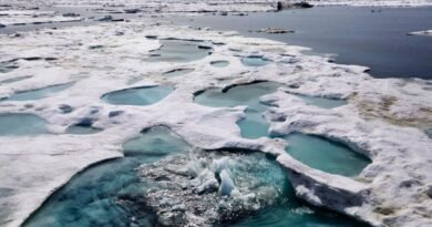 Canada Pledges to Work With US Over Competing Claims to Arctic Sea Floor