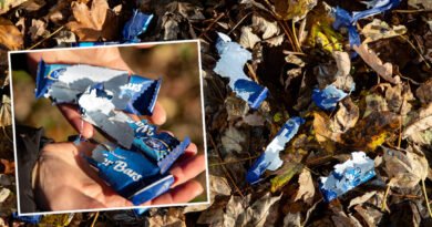 Community Is Plagued by Chocolate Wrappers—It Gets Hilarious When Residents Catch the Litterers