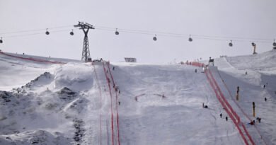 Cable Car Brought Down by Fallen Tree in Austrian Skiing Area, 4 People Hurt