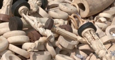Nigeria Destroys Record $11.2 Million in Seized Elephant Tusks